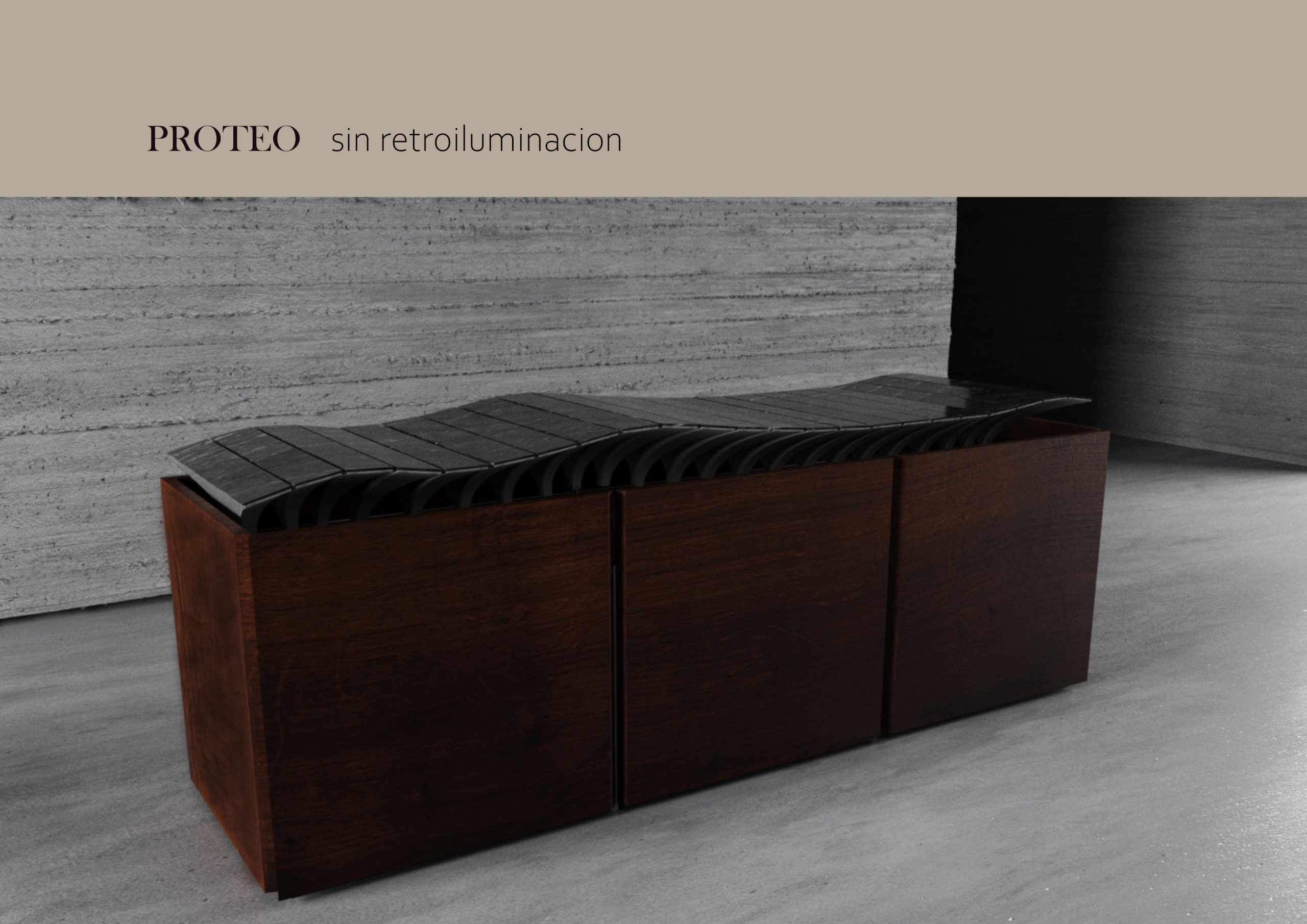 Proteo_Alvaro-Gómez—traducido-español-21