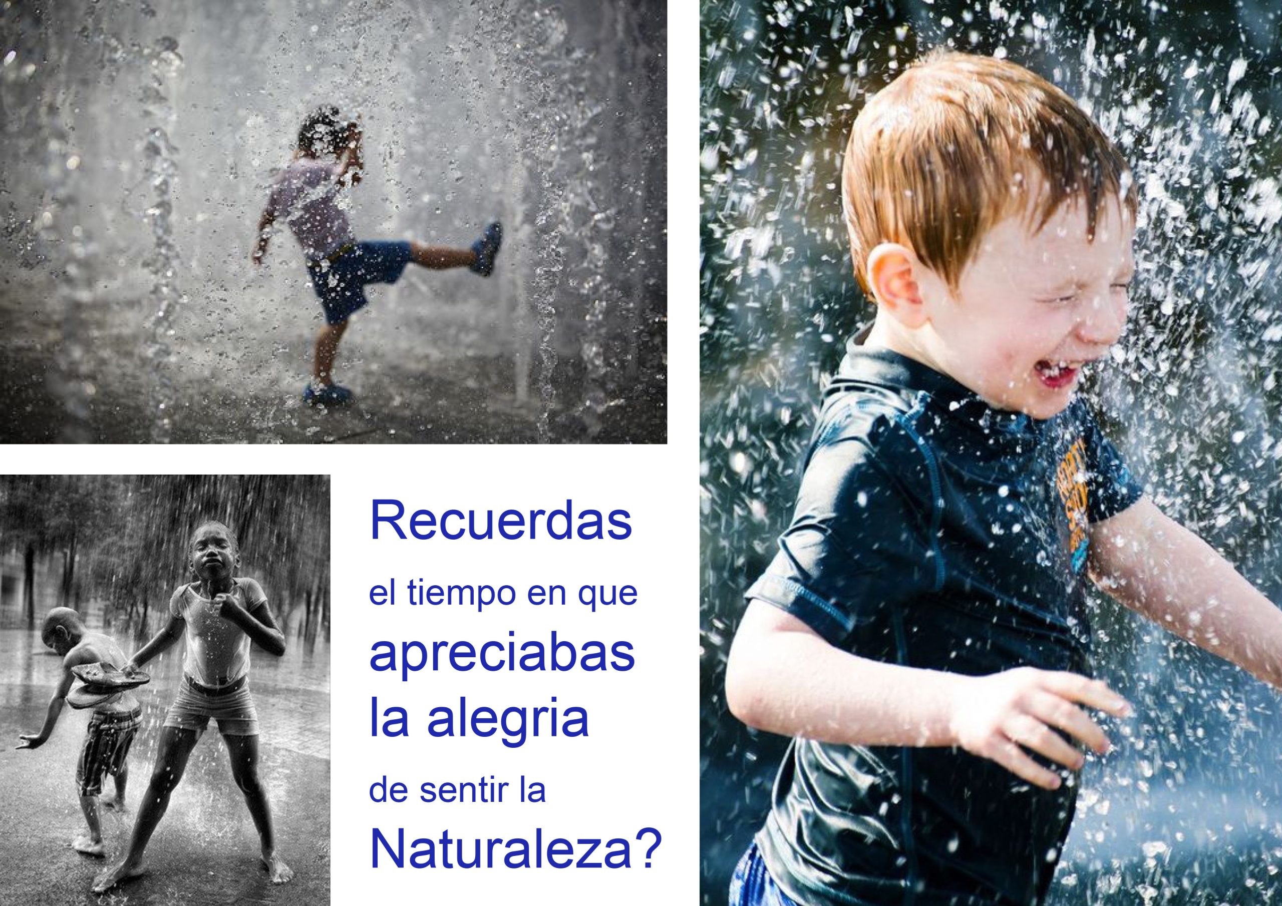 The-touch-of-nature_Alvaro-Gómez_high-en-español—copia-3